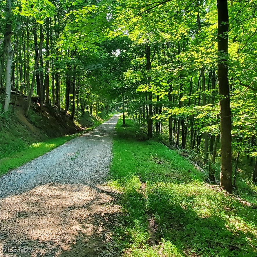 22 County Rt Street St. Marys, WV 26170 - Photo 4 of 27 View of road featuring a view of trees