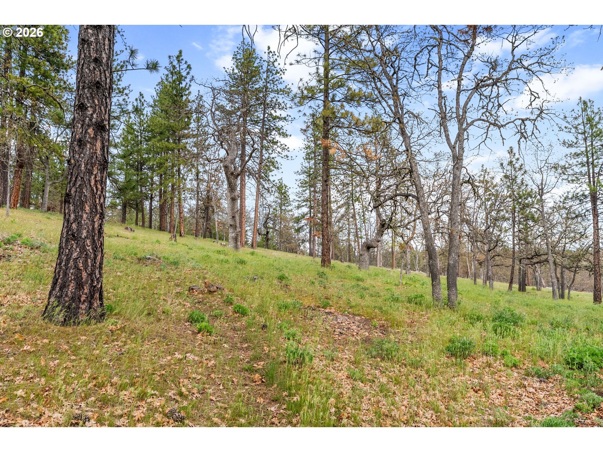 351 Woodland Road Goldendale, WA 98620 - Photo 12 of 47 Gallery Image 12
