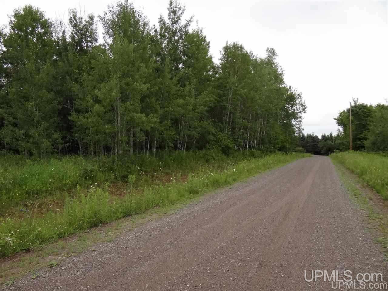 12939 Pelto Road Baraga, MI 49908 - Photo 17 of 36 Gallery Image 17
