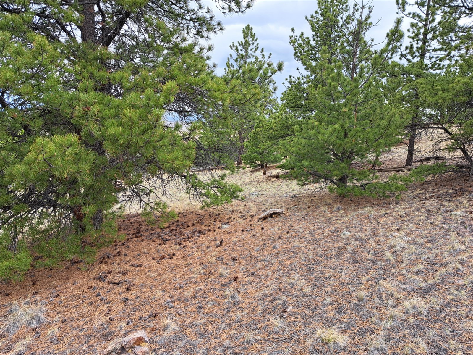 ` Dog Soldier Road Hartsel, CO 80449 - Photo 6 of 34 Gallery Image 6