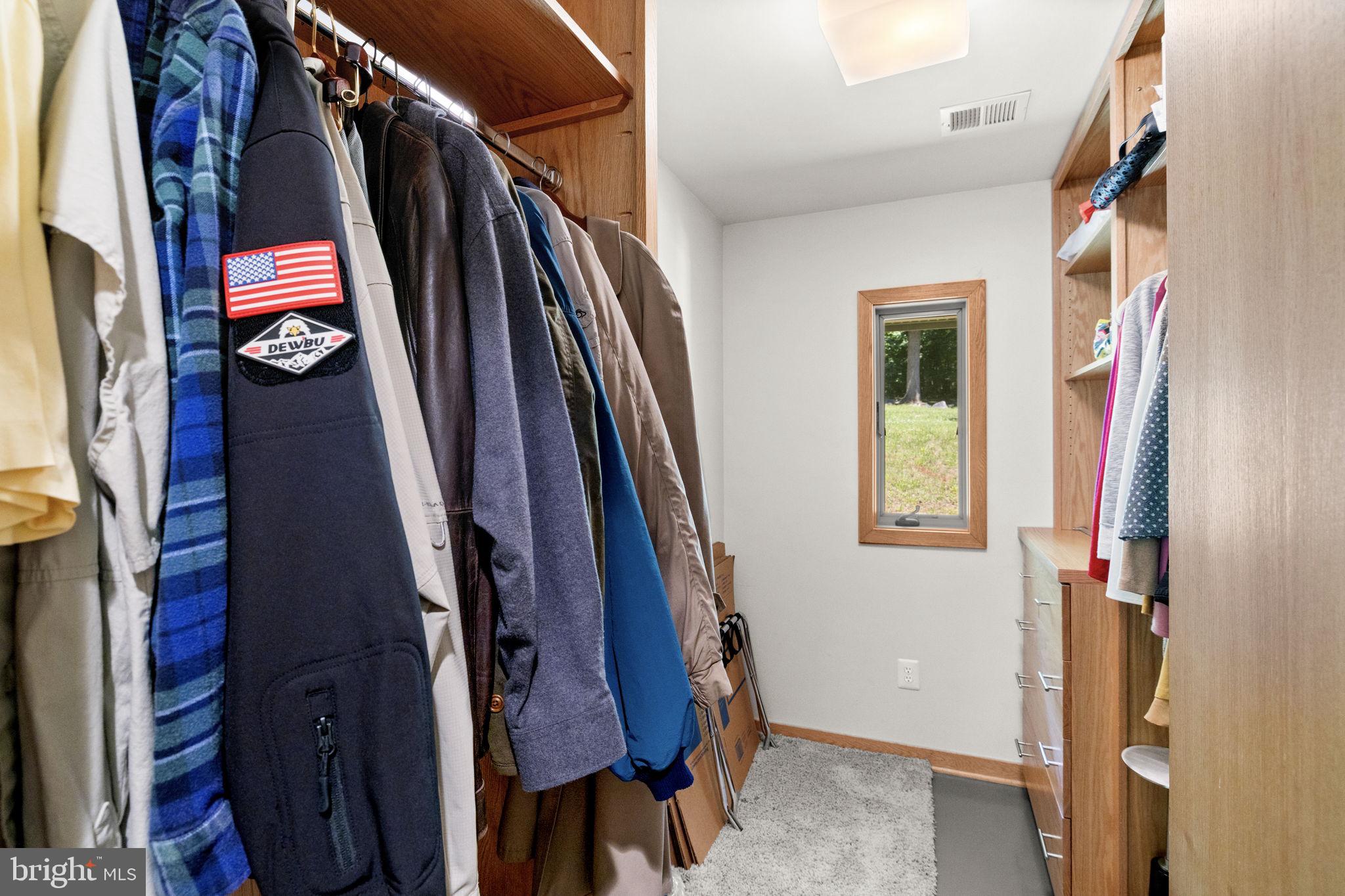 1319 Champe Plain Road Etlan, VA 22719 - Photo 31 of 63 Primary Walk-in Closet