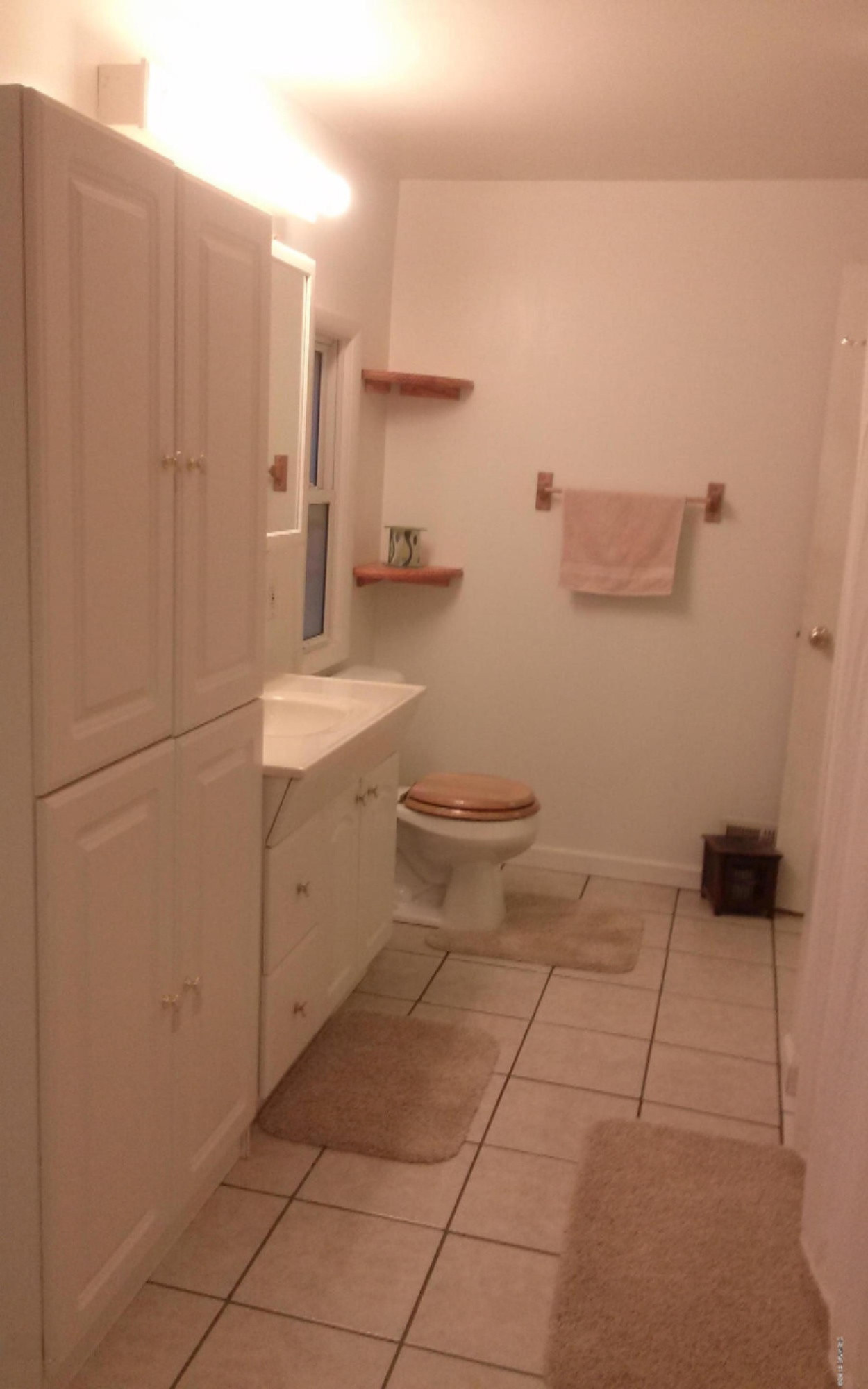 6205 Darby Road Saranac, MI 48881 - Photo 21 of 28 1109141716a