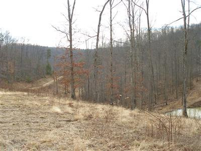 0 Old County Road McKee, KY 40447 - Photo 12 of 18 Photo 12