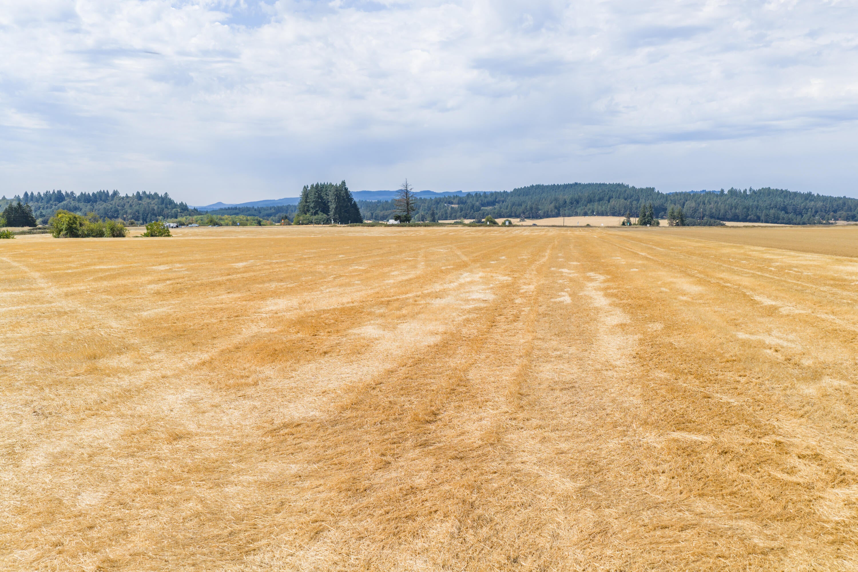 0 Coville Road Dallas, OR 97338 - Photo 13 of 15 Gallery Image 13