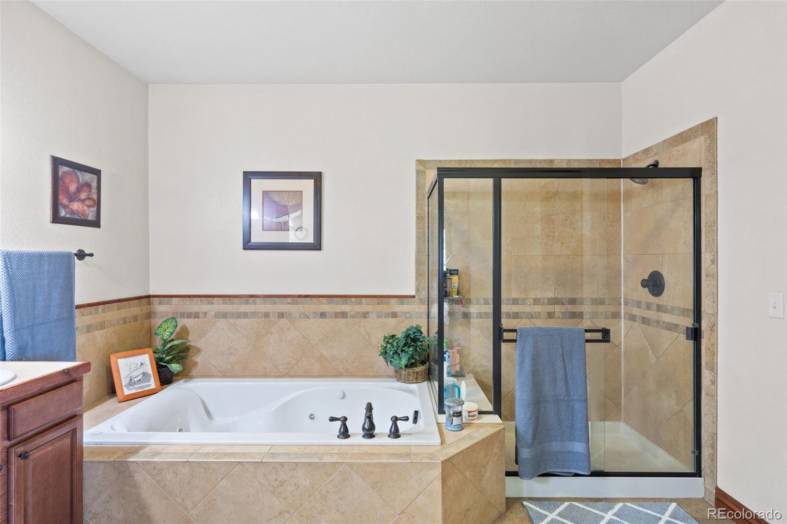 1731 Wales Drive Berthoud, CO 80513 - Photo 18 of 36 a bathroom with a bathtub and shower