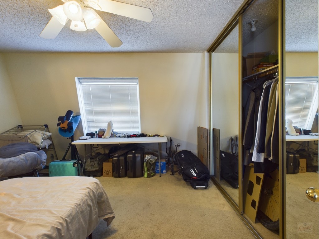 3115 Helms Street, Unit 301 Austin, TX 78705 - Photo 12 of 19 a bed room with a bed and a mirror