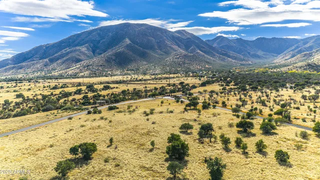 a view of a backyard of the house
