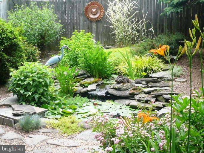 9301 Flower Avenue Silver Spring, MD 20901 - Photo 22 of 30 a view of a backyard with plants and large trees
