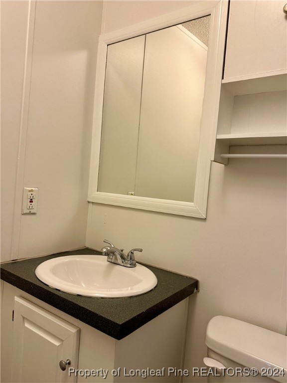 459 Nye Road Orrum, NC 28369 - Photo 14 of 25 a bathroom with a sink toilet and a mirror