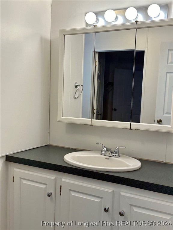459 Nye Road Orrum, NC 28369 - Photo 22 of 25 a bathroom with a sink and a mirror