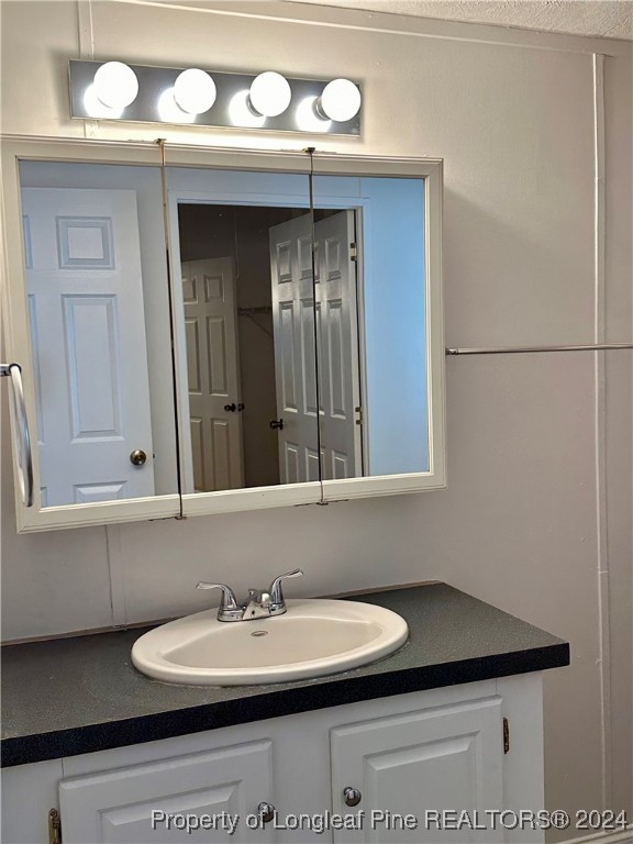 459 Nye Road Orrum, NC 28369 - Photo 23 of 25 a bathroom with a sink and a mirror