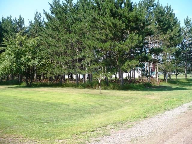 W9011 Blue Jay Road Willard, WI 54493 - Photo 19 of 21 Gallery Image 19