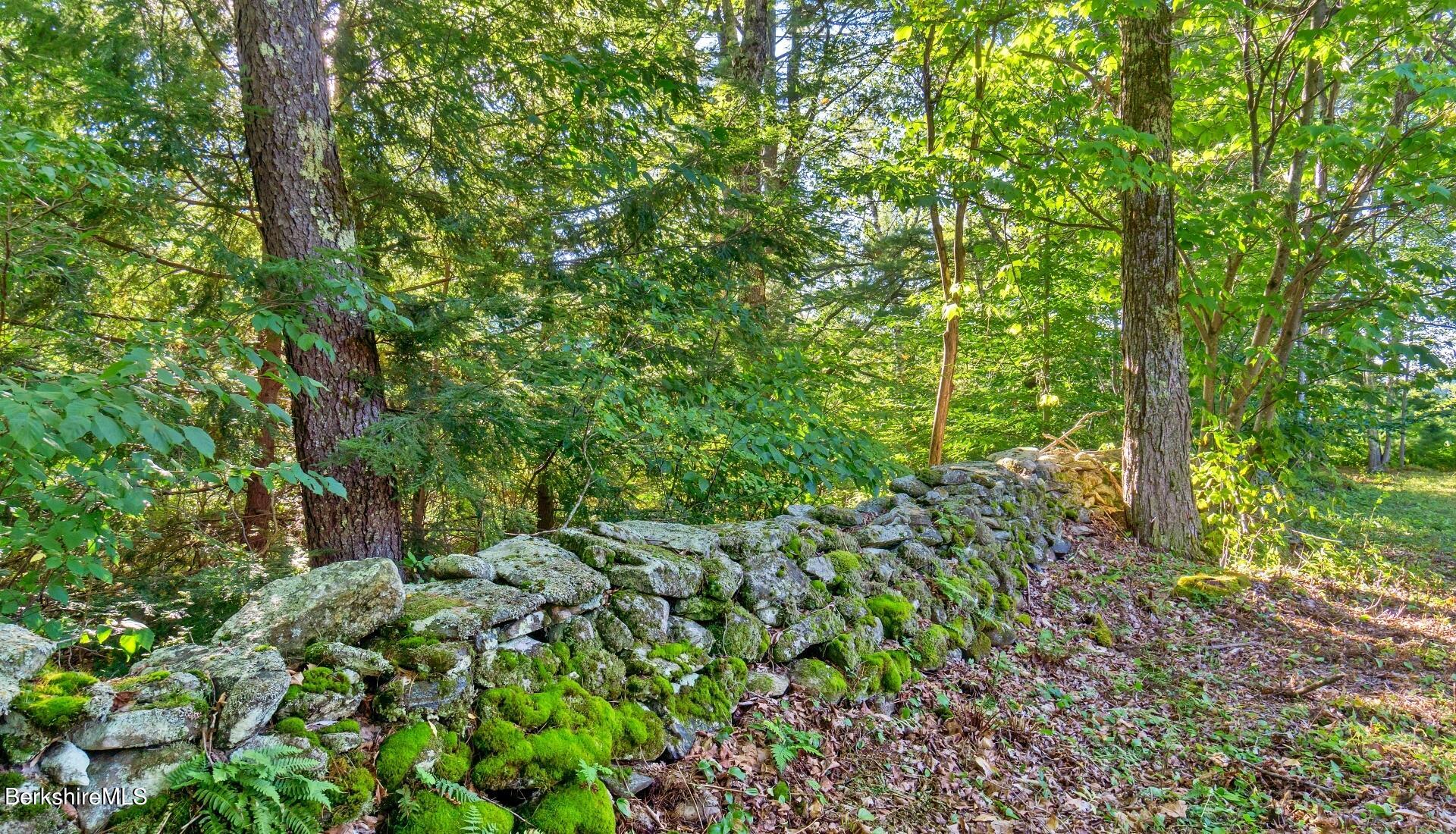 Lot 9 North Main Road Otis, MA 01253 - Photo 8 of 11 a view of a lush green forest