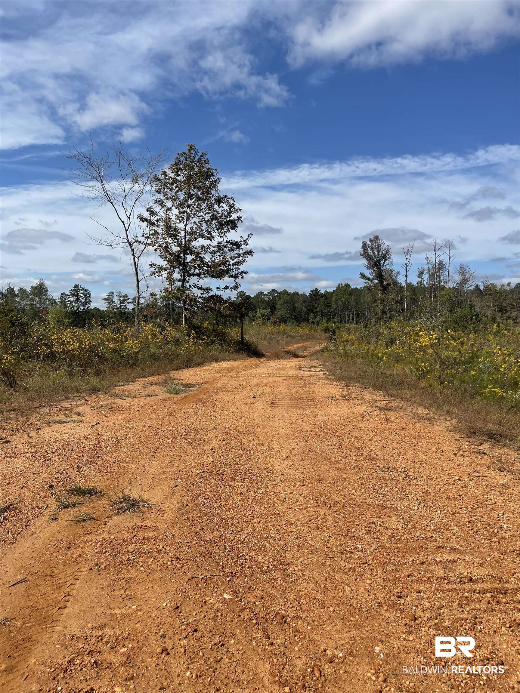 0 CCC Trail McKenzie, AL 36456 - Photo 4 of 5