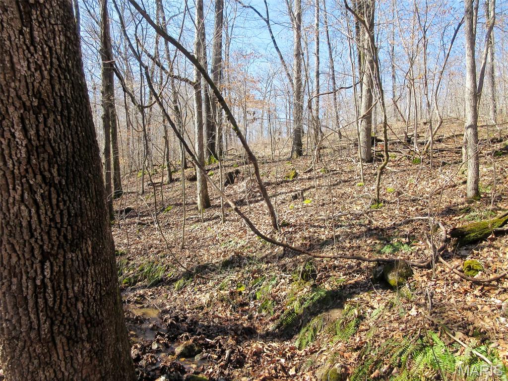 10331 Hopkins Road Potosi, MO 63664 - Photo 35 of 76