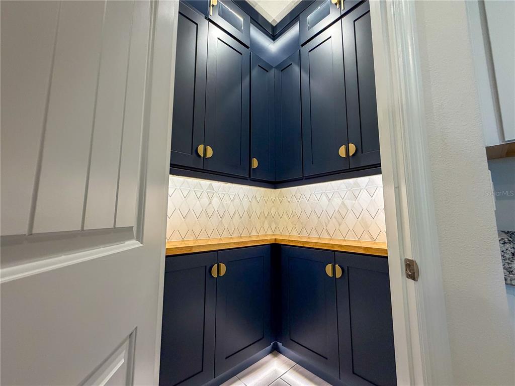 16128 Mangrove Road Winter Garden, FL 34787 - Photo 6 of 27