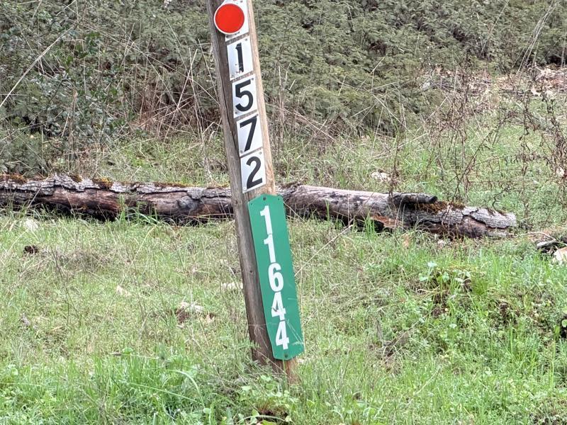 11572 Dead Horse Road Grass Valley, CA 95949 - Photo 7 of 25