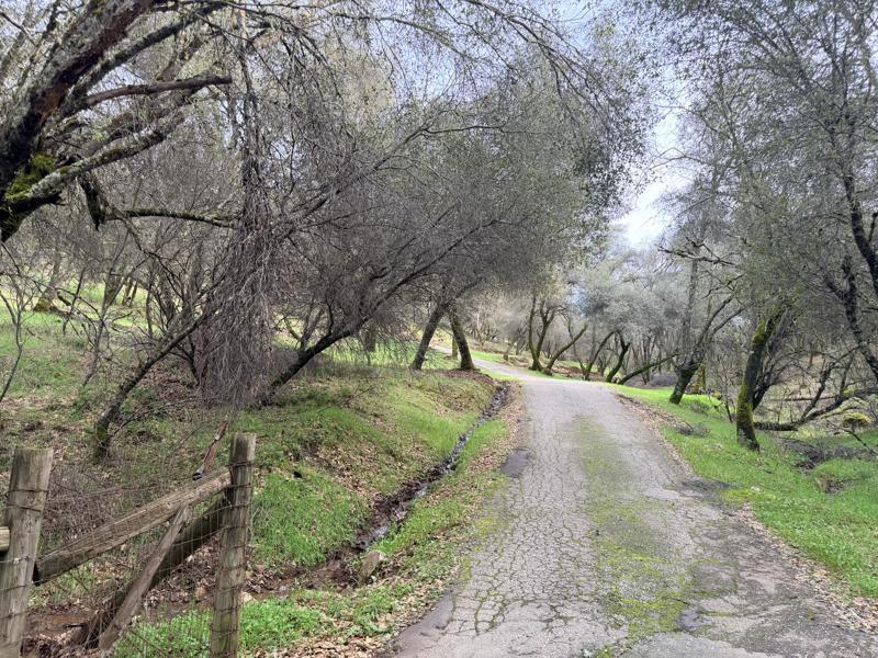 11572 Dead Horse Road Grass Valley, CA 95949 - Photo 8 of 25