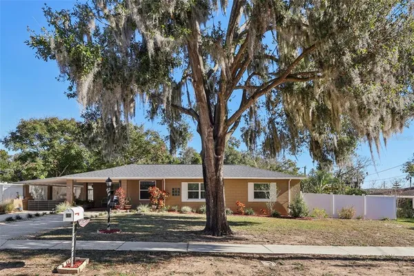 front view of a house with a tree