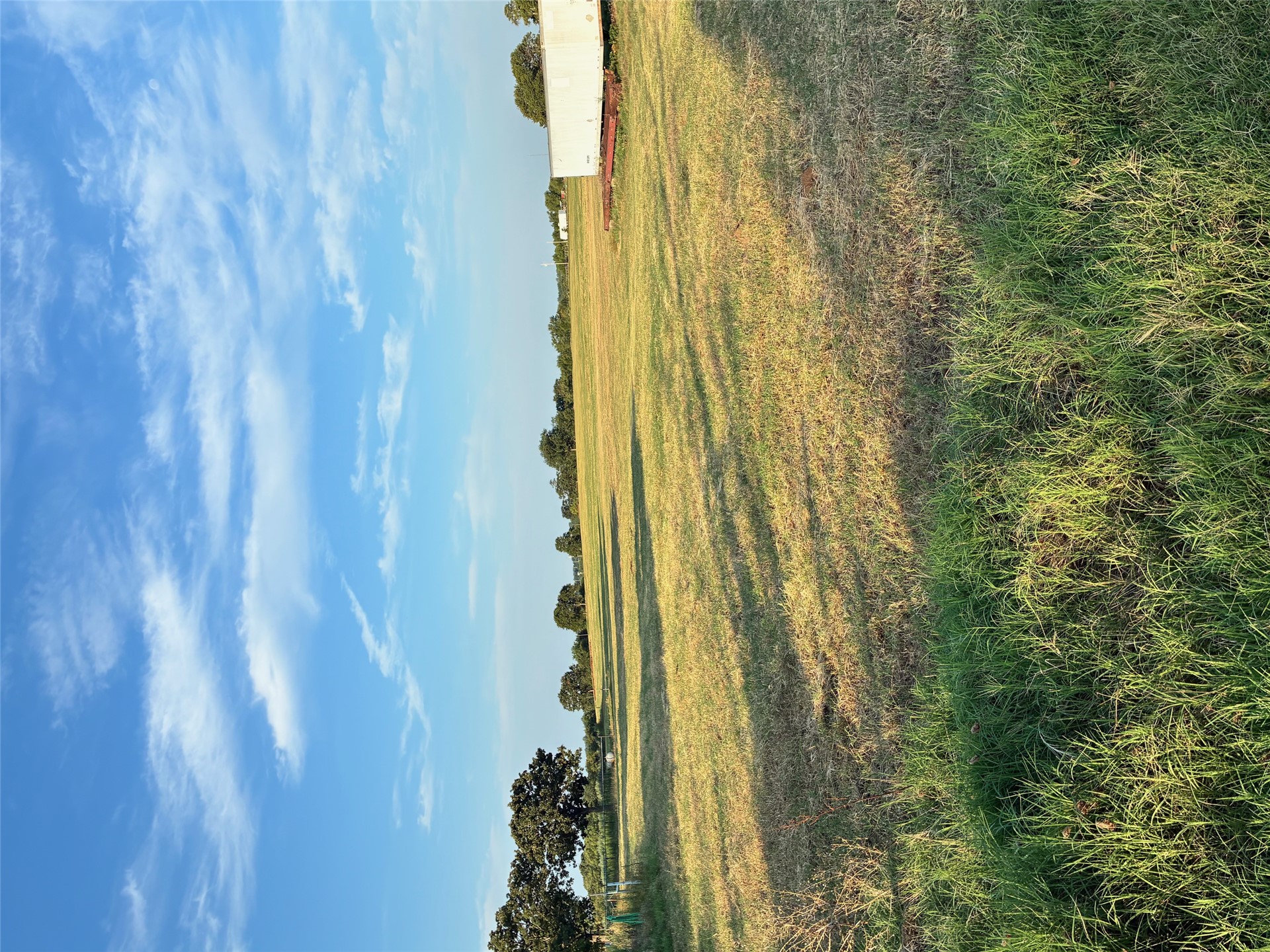 Expansive open land with natural ground cover and scattered mature trees