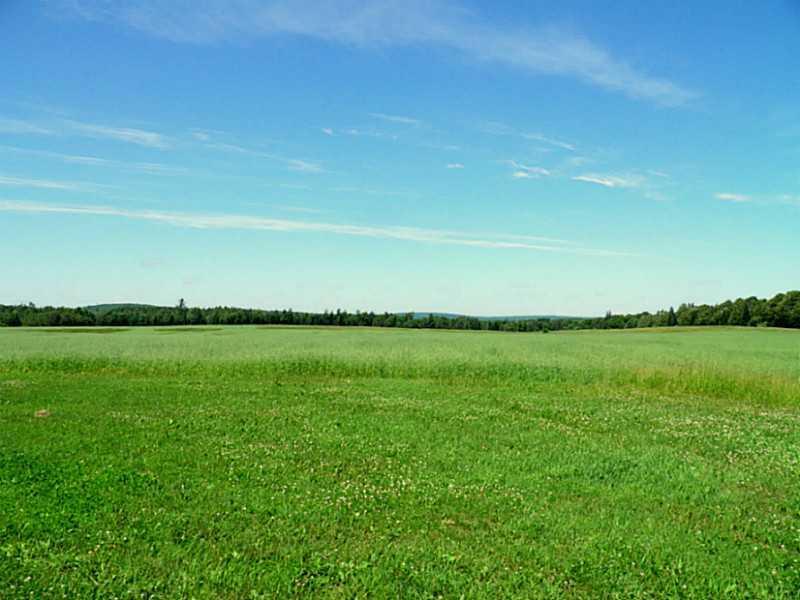 230 Town Line Road Smyrna Mills, ME 04780 - Photo 1 of 1 Land.