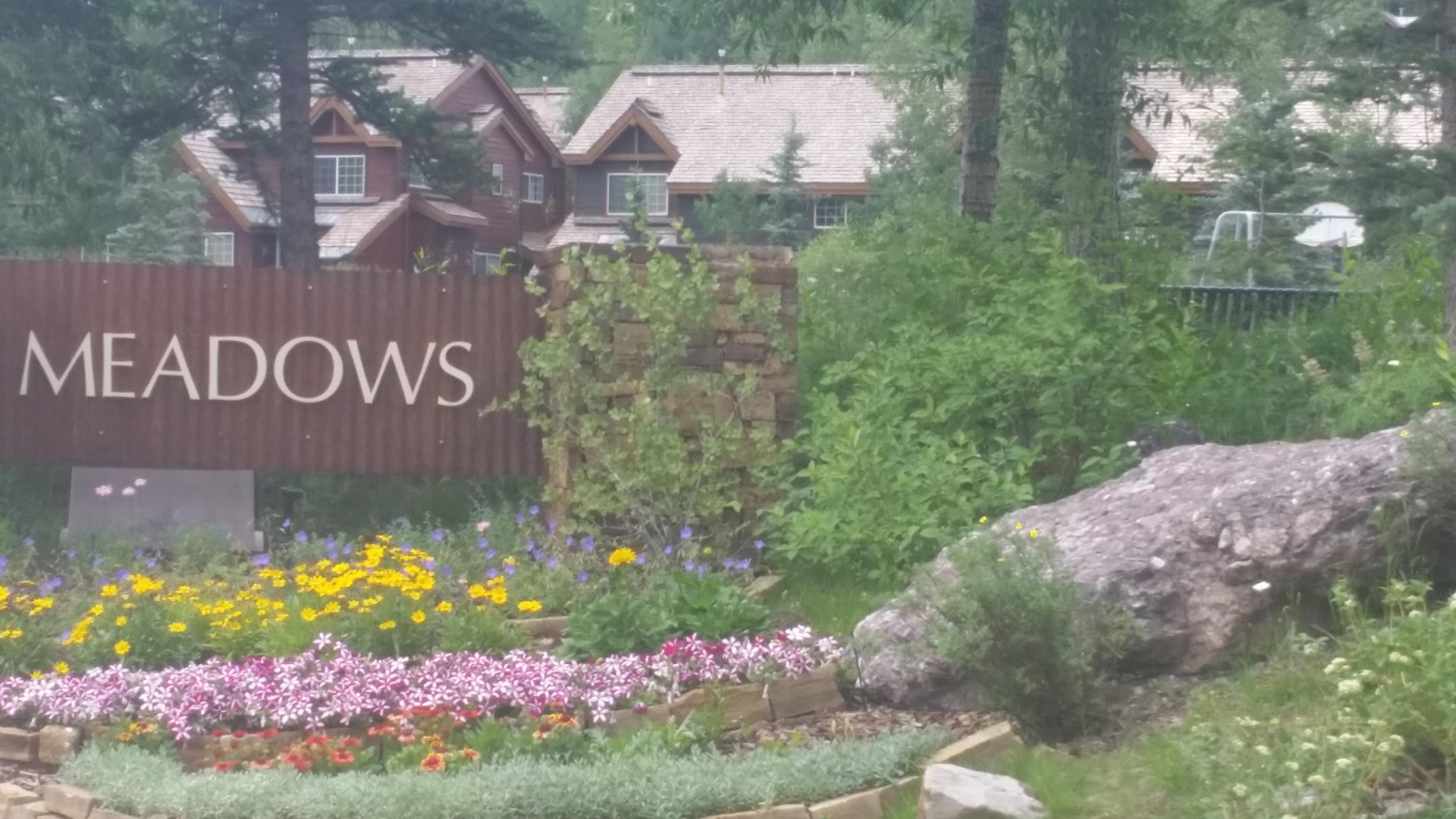 302 Adams Ranch Road, Unit 8 Mountain Village, CO 81435 - Photo 8 of 15 Summer Landscaping