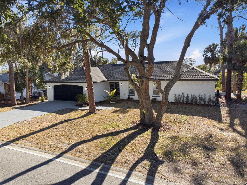 4346 Marine Parkway New Port Richey, FL 34652 - Photo 4 of 51 a view of a house with backyard and trees