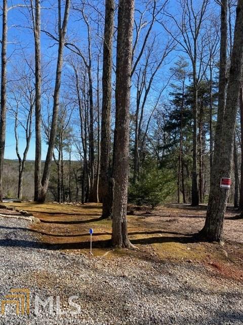 0 Raintree Bend Blue Ridge, GA 30513 - Photo 1 of 1 Gallery Image 1
