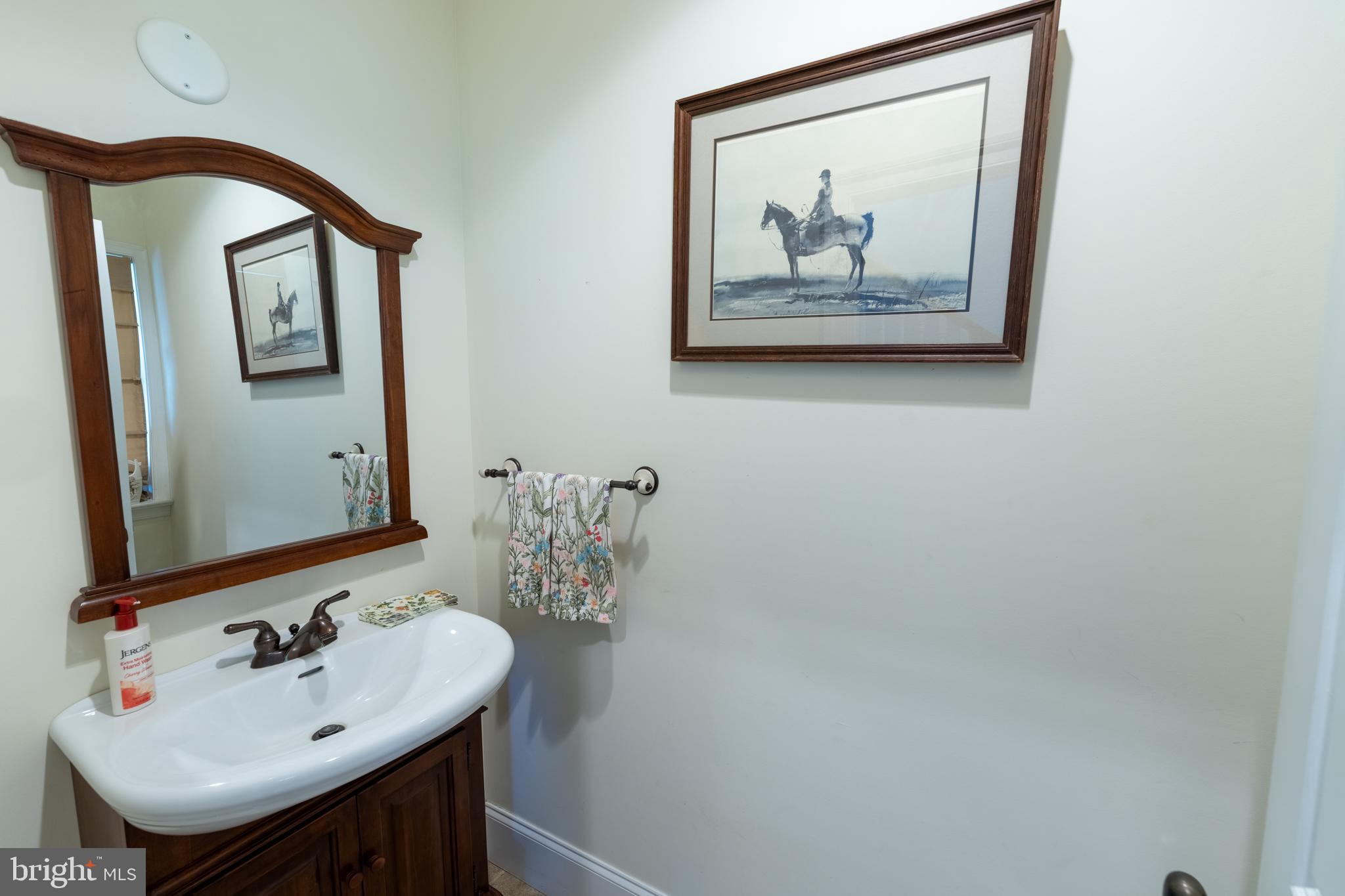 5727 Telegraph Road Elkton, MD 21921 - Photo 38 of 93 a bathroom with a sink and a mirror