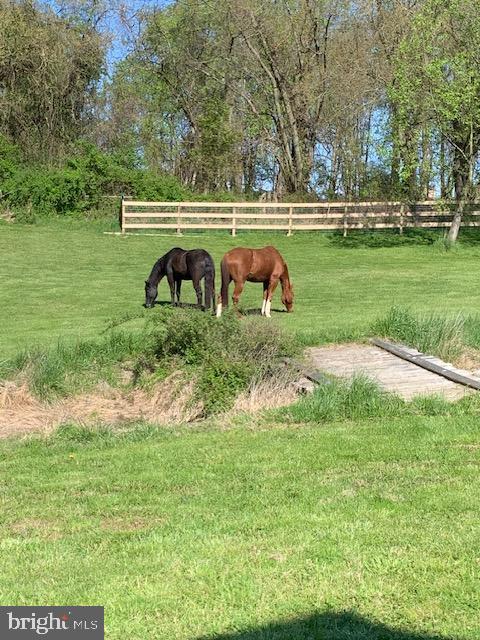 5727 Telegraph Road Elkton, MD 21921 - Photo 67 of 93 a view of backyard with outdoor space and trees