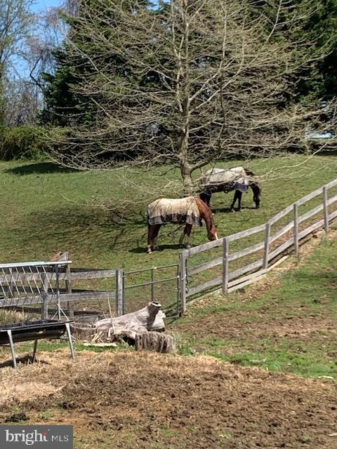 5727 Telegraph Road Elkton, MD 21921 - Photo 92 of 93 a view of a bench and chairs in the river