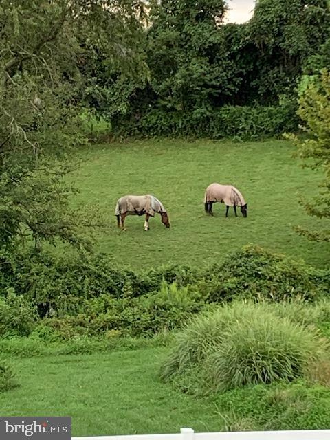 5727 Telegraph Road Elkton, MD 21921 - Photo 93 of 93