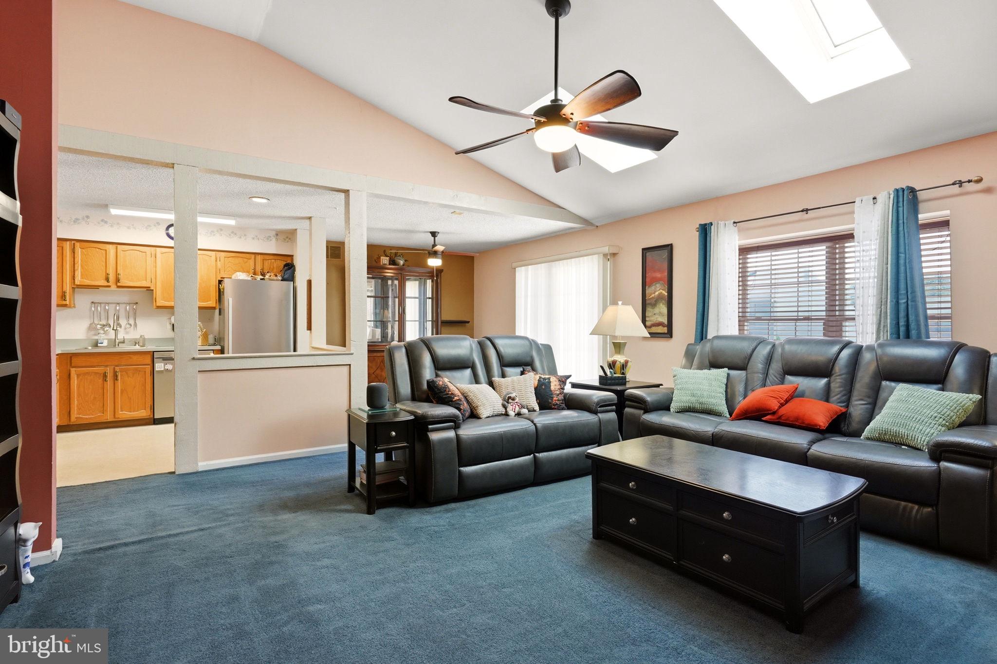 439 Old Erial Road Sicklerville, NJ 08081 - Photo 4 of 23 Bright, spacious living room with two skylights