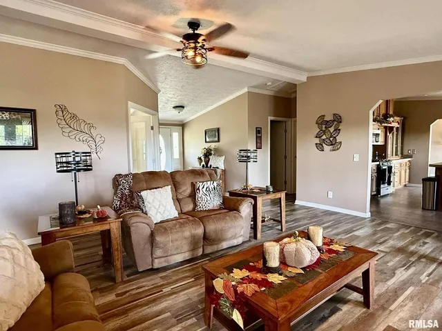 a living room with furniture and a fireplace