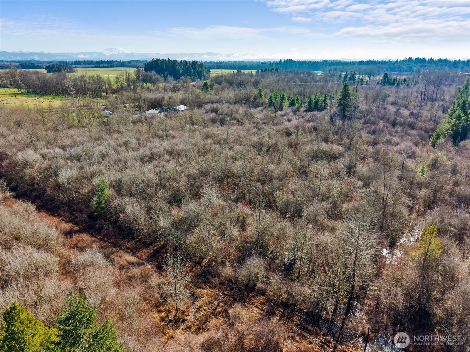 0 Frost Road Winlock, WA 98596 - Photo 15 of 17