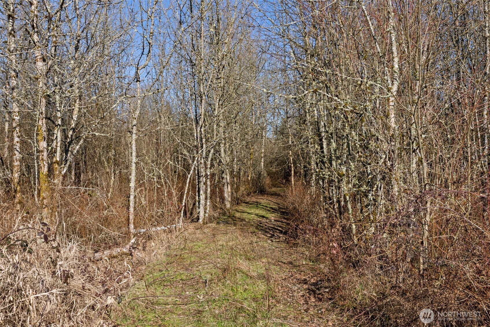 0 Frost Road Winlock, WA 98596 - Photo 8 of 17