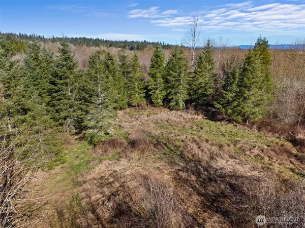 $110,000 | 0 Frost Road, Winlock, WA 98596