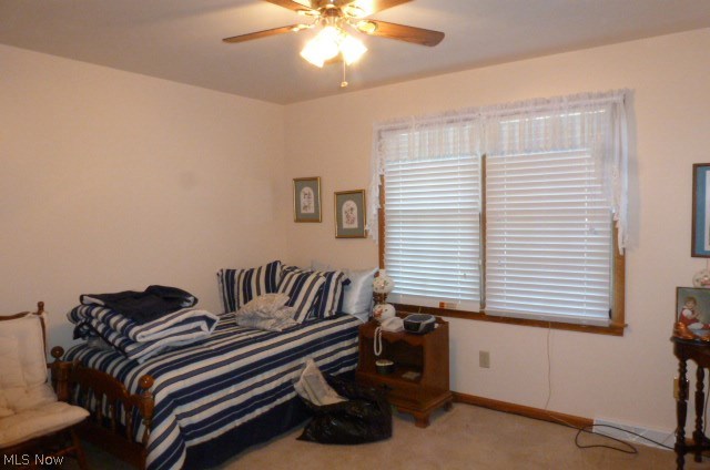 227 Clingan Road Struthers, OH 44471 - Photo 25 of 27 Gallery Image 25