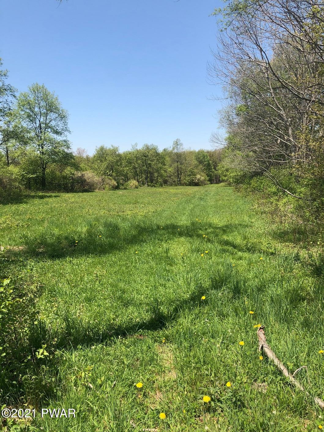 Oxbow Road Thompson, PA 18465 - Photo 3 of 7