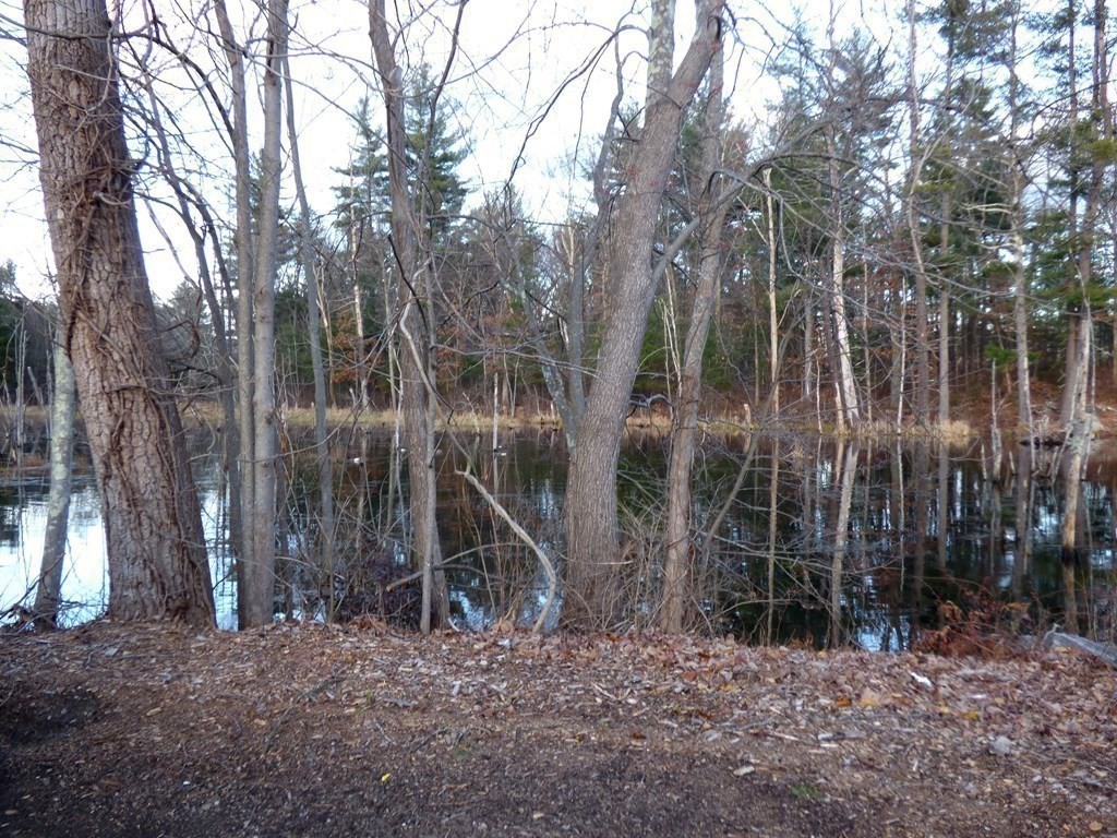 276 Codman Hill Road, Unit 4A Boxborough, MA 01719 - Photo 3 of 21 Gallery Image 3