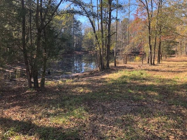 210 Glenn Springs Road Pacolet, SC 29372 - Photo 5 of 14 Gallery Image 5