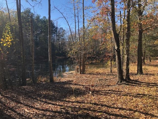 210 Glenn Springs Road Pacolet, SC 29372 - Photo 6 of 14 Gallery Image 6