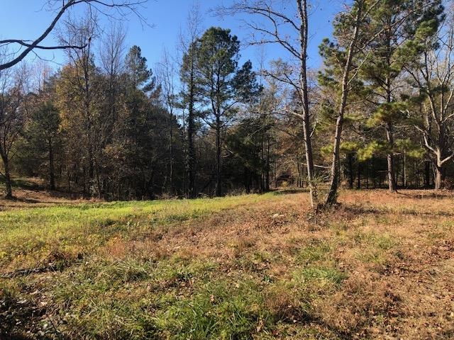 210 Glenn Springs Road Pacolet, SC 29372 - Photo 8 of 14 Gallery Image 8