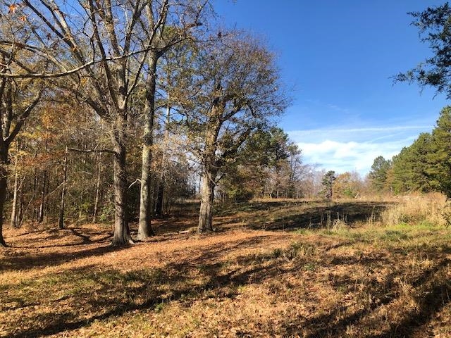 210 Glenn Springs Road Pacolet, SC 29372 - Photo 10 of 14 Gallery Image 10