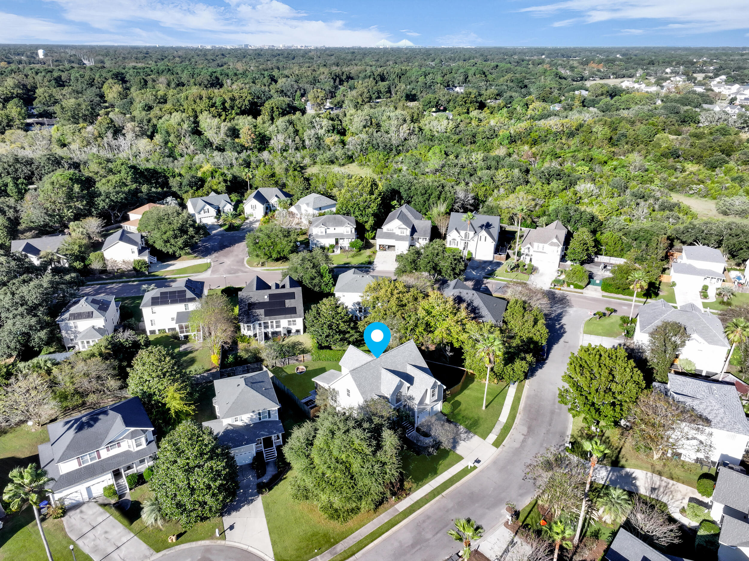 1414 Surfside Court Charleston, SC 29412 - Photo 61 of 65 Neighborhood Aerial