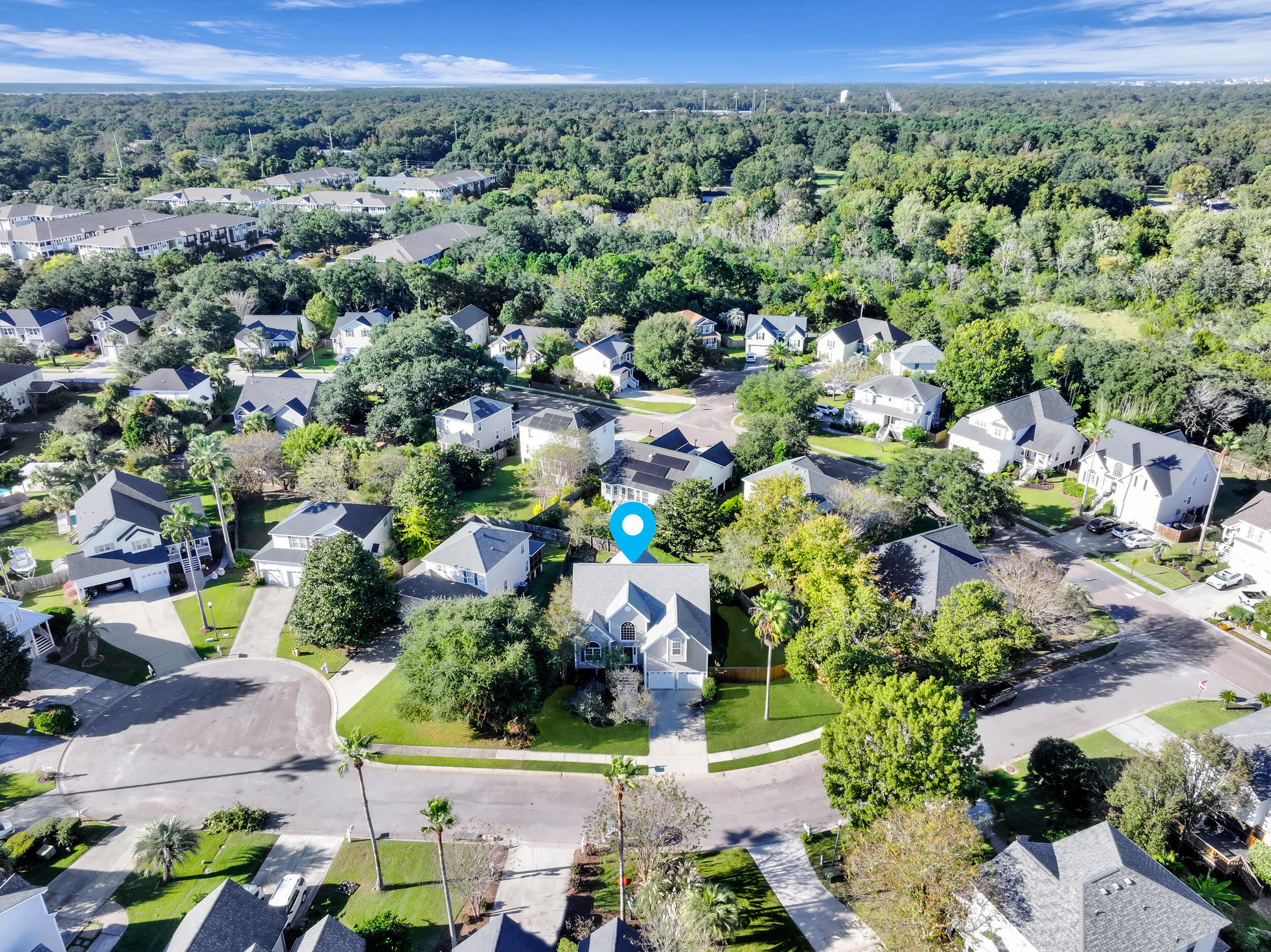 1414 Surfside Court Charleston, SC 29412 - Photo 62 of 65 Neighborhood Aerial