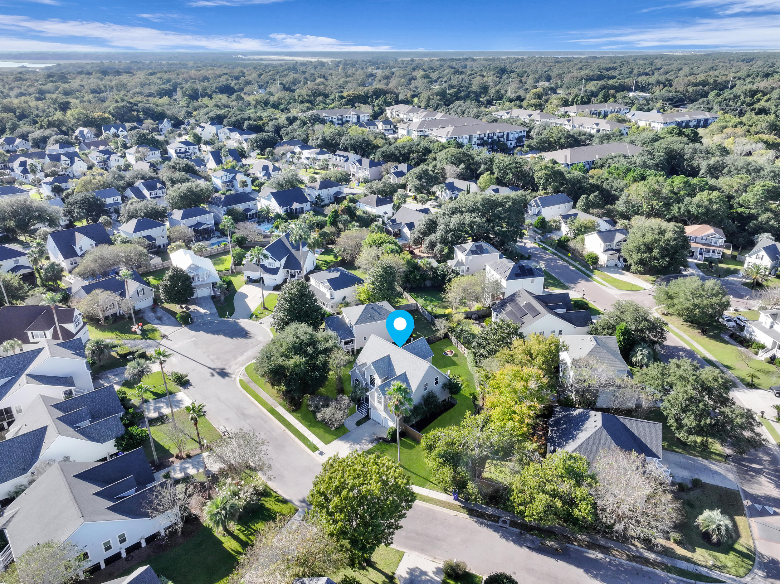 1414 Surfside Court Charleston, SC 29412 - Photo 64 of 65 Neighborhood Aerial