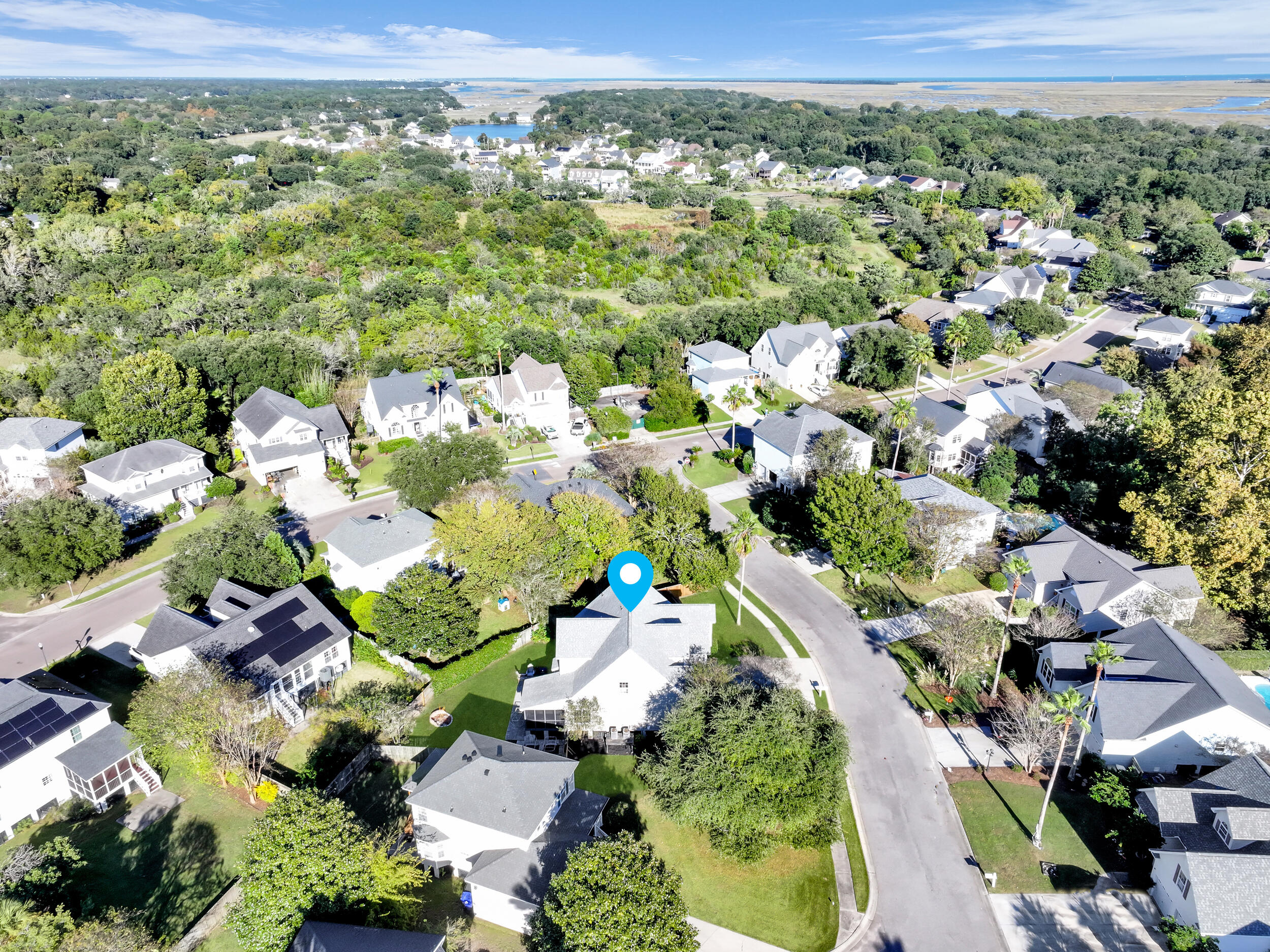 1414 Surfside Court Charleston, SC 29412 - Photo 65 of 65 Neighborhood Aerial