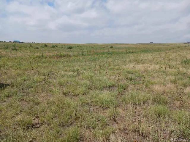 a view of an ocean beach