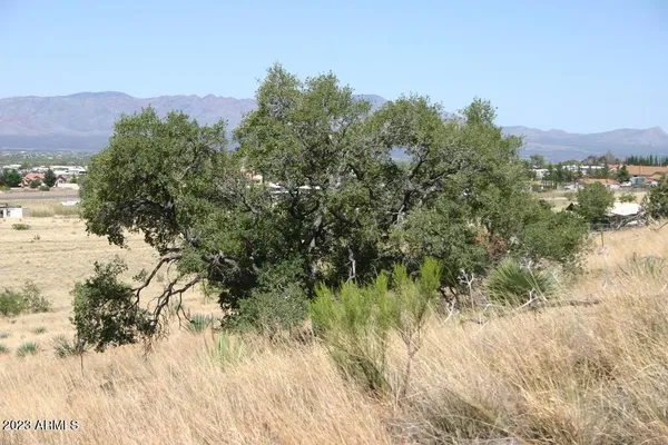 $74,000 | 9 North One More Road, Hereford, AZ 85615